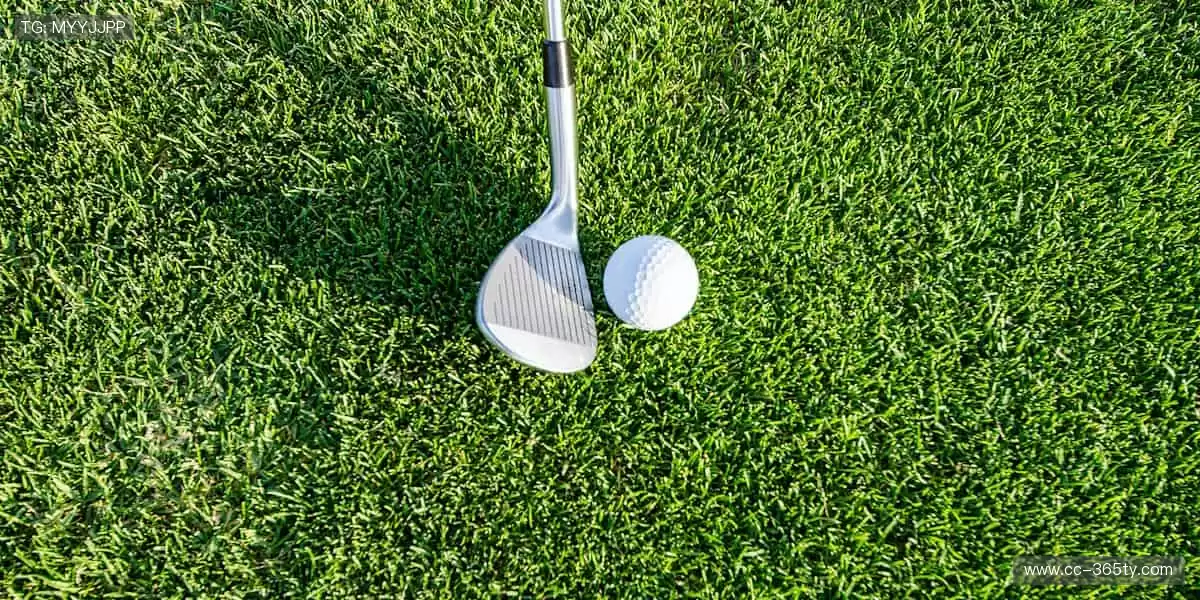 🌟个性设计，让你的运动装备与众不同！✨